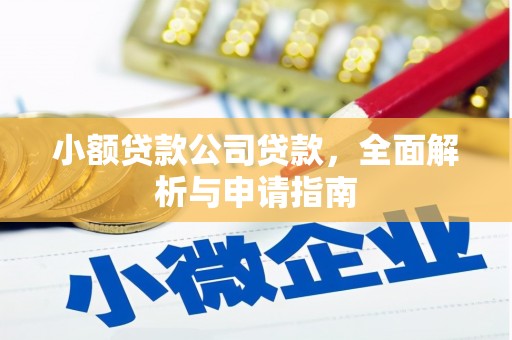 新宾小额贷款公司贷款，全面解析与申请指南