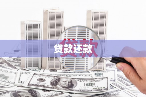 新宾贷款还款