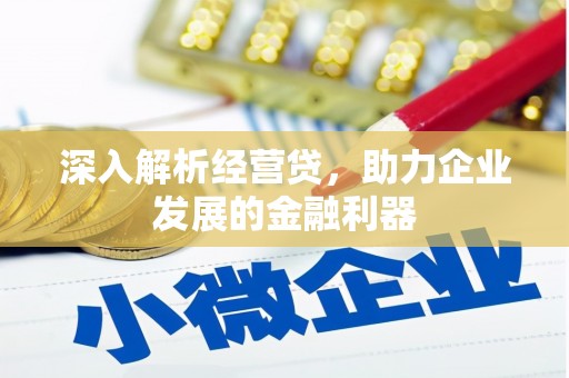新宾深入解析经营贷，助力企业发展的金融利器