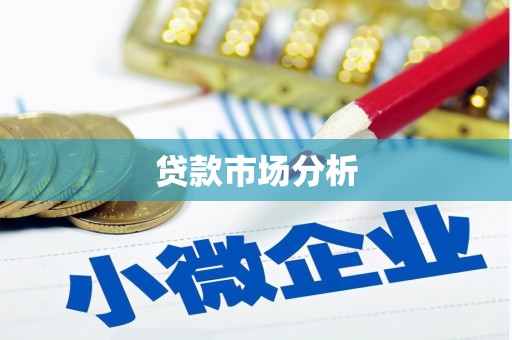 新宾贷款市场分析