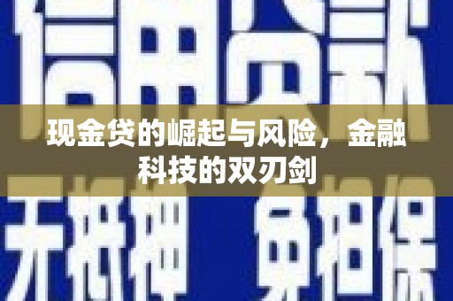 新宾现金贷的崛起与风险，金融科技的双刃剑