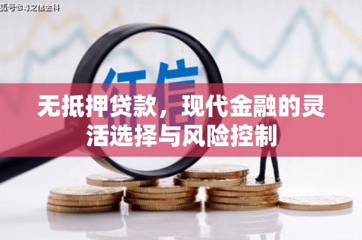 新宾无抵押贷款，现代金融的灵活选择与风险控制