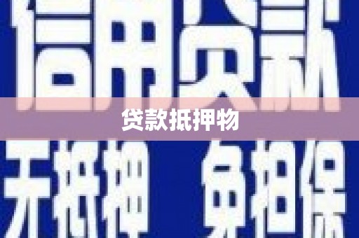 新宾贷款抵押物