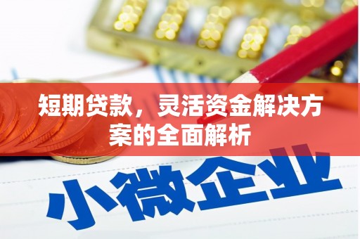 新宾短期贷款，灵活资金解决方案的全面解析