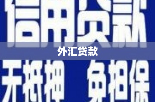 新宾外汇贷款