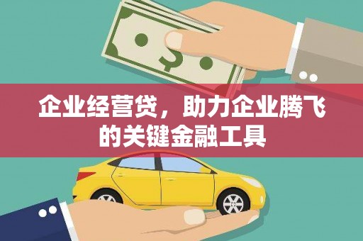 新宾企业经营贷，助力企业腾飞的关键金融工具
