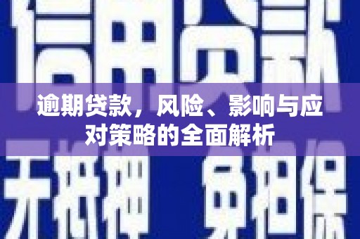 新宾逾期贷款，风险、影响与应对策略的全面解析