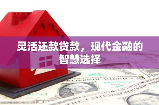 新宾灵活还款贷款，现代金融的智慧选择