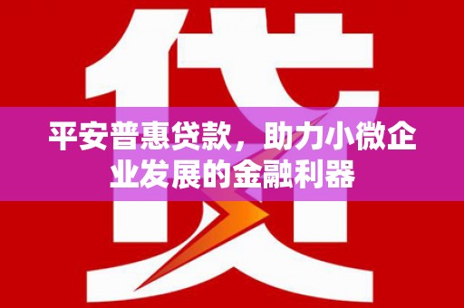 新宾平安普惠贷款，助力小微企业发展的金融利器