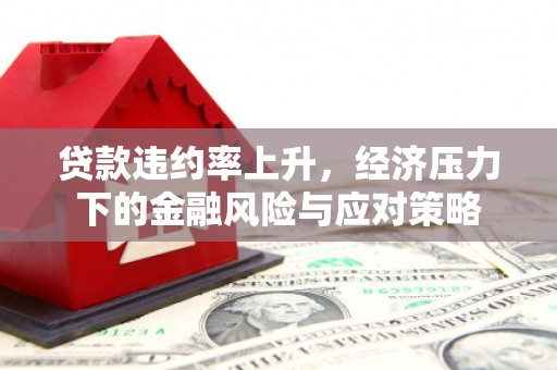 新宾贷款违约率上升，经济压力下的金融风险与应对策略