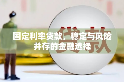 新宾固定利率贷款，稳定与风险并存的金融选择