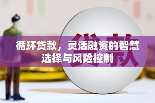新宾循环贷款，灵活融资的智慧选择与风险控制