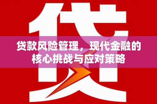 新宾贷款风险管理，现代金融的核心挑战与应对策略