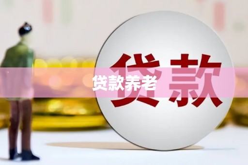 新宾贷款养老