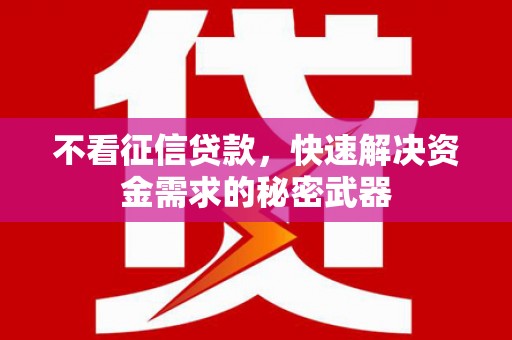 新宾不看征信贷款，快速解决资金需求的秘密武器