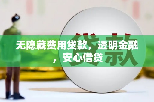 新宾无隐藏费用贷款，透明金融，安心借贷