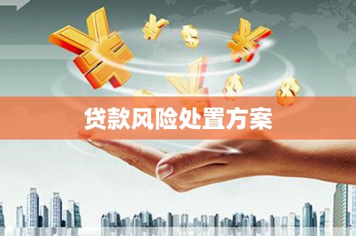 新宾贷款风险处置方案
