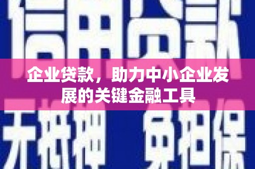 新宾企业贷款，助力中小企业发展的关键金融工具