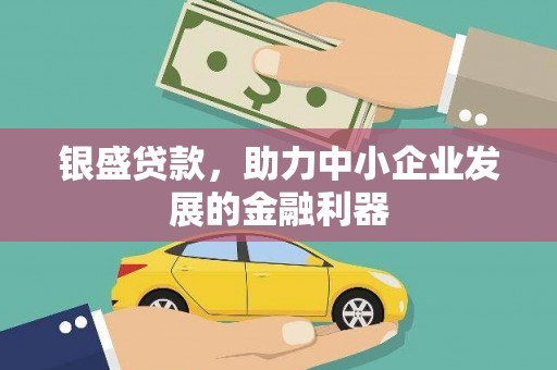 新宾银盛贷款，助力中小企业发展的金融利器