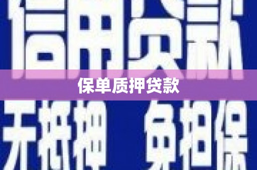 新宾保单质押贷款