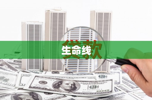 新宾生命线