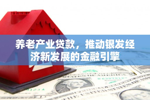 新宾养老产业贷款，推动银发经济新发展的金融引擎