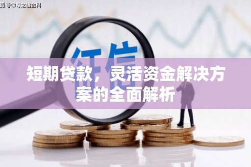 新宾短期贷款，灵活资金解决方案的全面解析