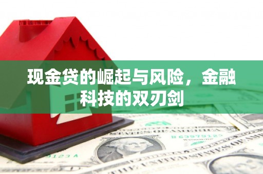 新宾现金贷的崛起与风险，金融科技的双刃剑