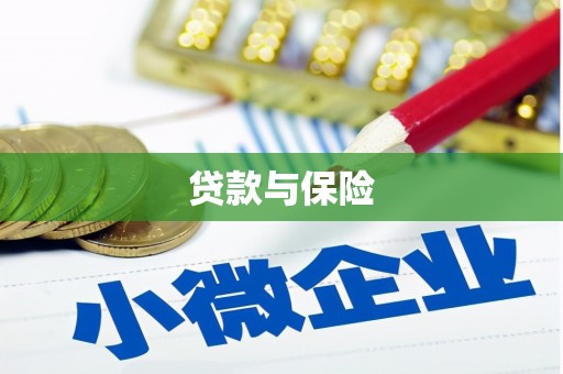 新宾贷款与保险