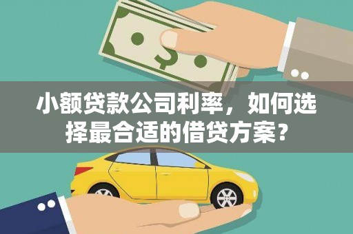 新宾小额贷款公司利率，如何选择最合适的借贷方案？