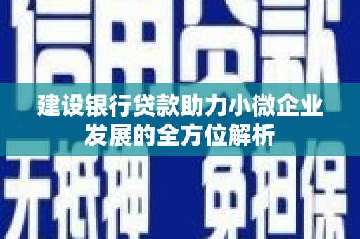 新宾建设银行贷款助力小微企业发展的全方位解析