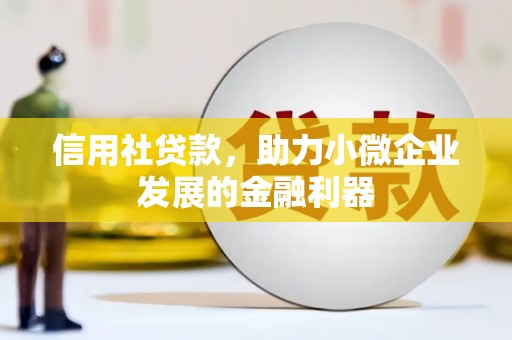 新宾信用社贷款，助力小微企业发展的金融利器