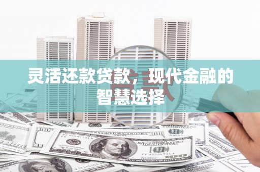 新宾灵活还款贷款，现代金融的智慧选择