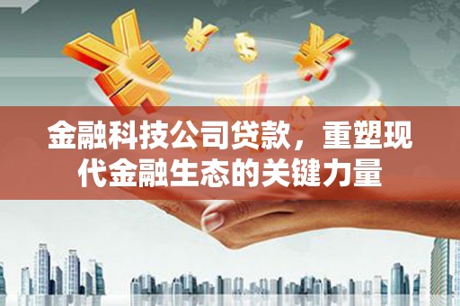 新宾金融科技公司贷款，重塑现代金融生态的关键力量