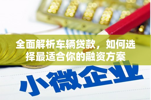 新宾全面解析车辆贷款，如何选择最适合你的融资方案