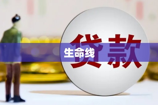 新宾生命线