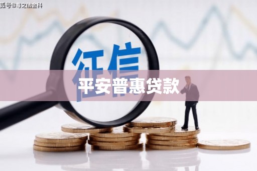 新宾平安普惠贷款