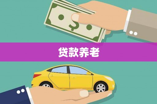 新宾贷款养老