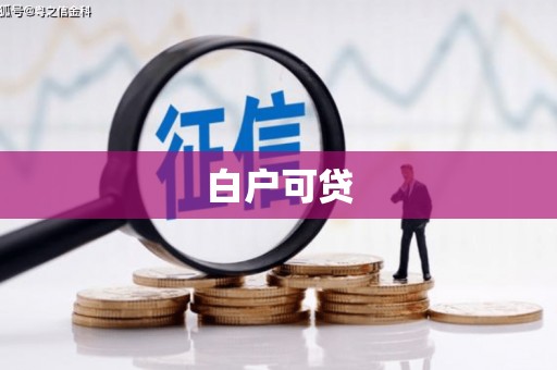 新宾白户可贷