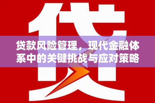 新宾贷款风险管理，现代金融体系中的关键挑战与应对策略