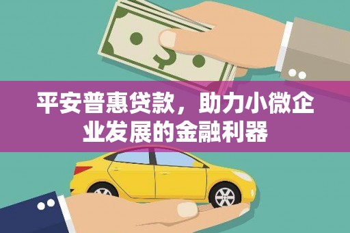 新宾平安普惠贷款，助力小微企业发展的金融利器