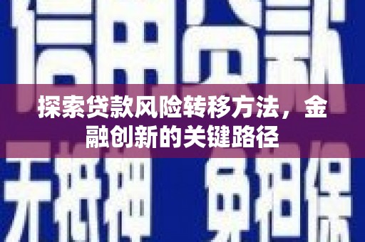新宾探索贷款风险转移方法，金融创新的关键路径