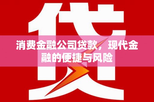 新宾消费金融公司贷款，现代金融的便捷与风险