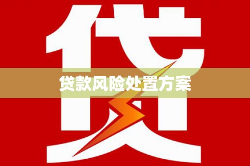 新宾贷款风险处置方案