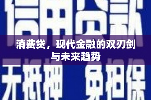 新宾消费贷，现代金融的双刃剑与未来趋势