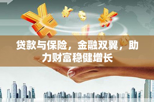 新宾贷款与保险，金融双翼，助力财富稳健增长